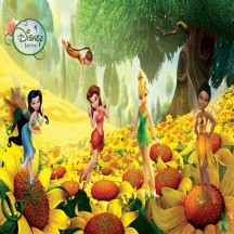 Tranh dán tường Hàn Quốc 3d khổ lớn cho bé tại Hà Nội DW - 160